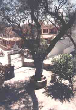 a0019.jpg